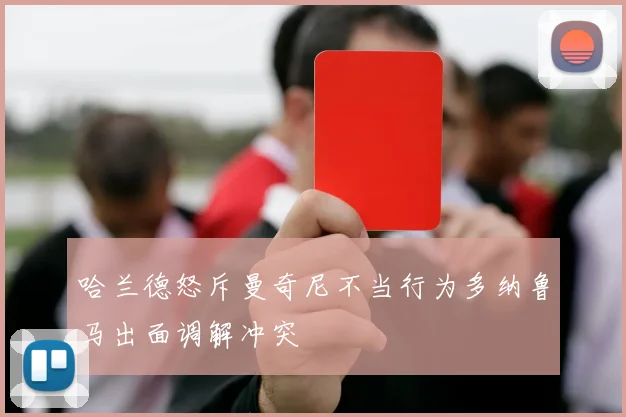 哈兰德怒斥曼奇尼不当行为多纳鲁马出面调解冲突