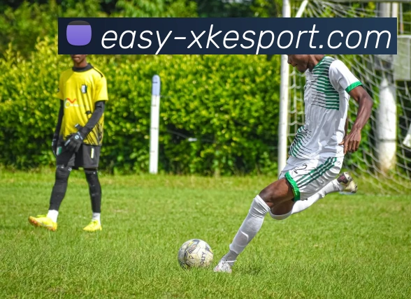 星空电竞平台生态图